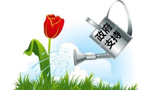 1587004432921746.jpg 政府扶持政策.jpg